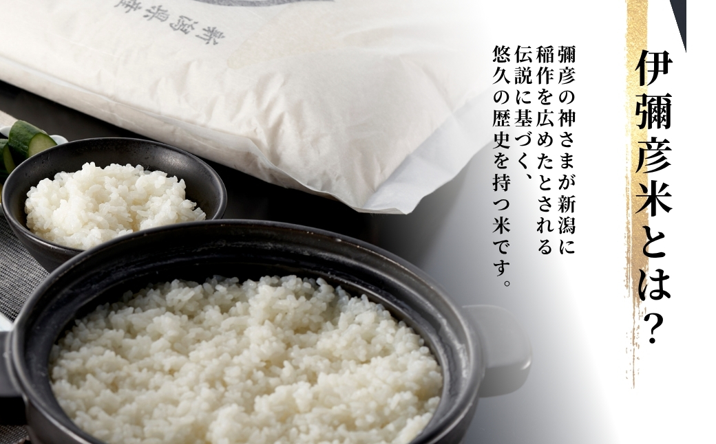 令和7年産 特別栽培米コシヒカリ「伊彌彦米」30kg(5kg×6袋) 精米) | 新潟産コシヒカリ 新潟県産コシヒカリ 新潟県産こしひかり お米 白米 精米 こしひかり 30キロ 送料無料 ギフト 贈答 贈り物 弥彦村 いやひこまい