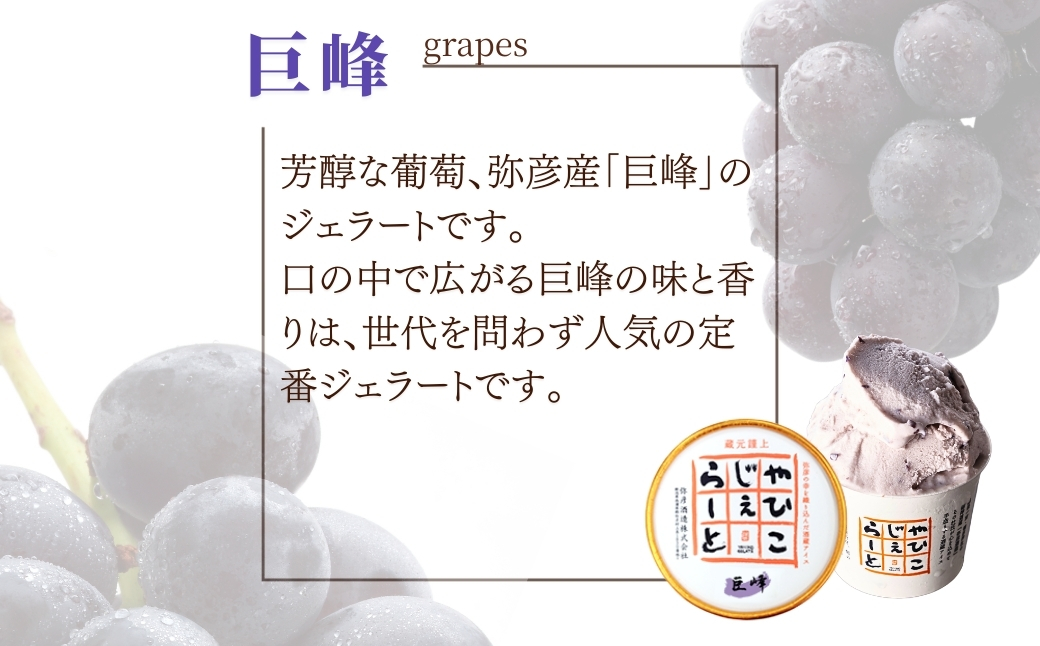 絞りたて牛乳で製造した『やひこジェラート』酒粕 いちご 巨峰 枝豆