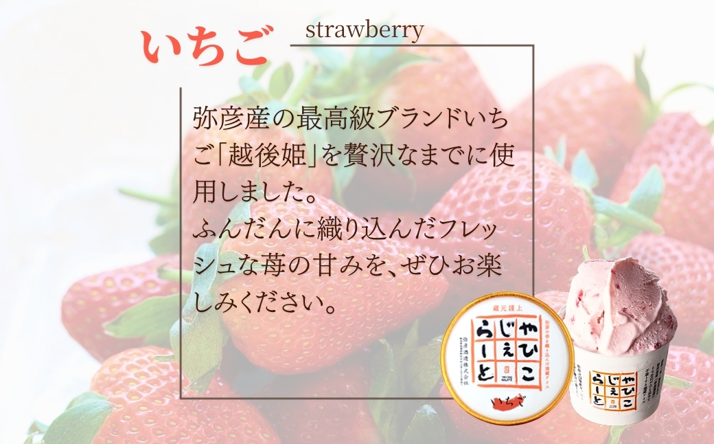 絞りたて牛乳で製造した『やひこジェラート』酒粕 いちご 巨峰 枝豆