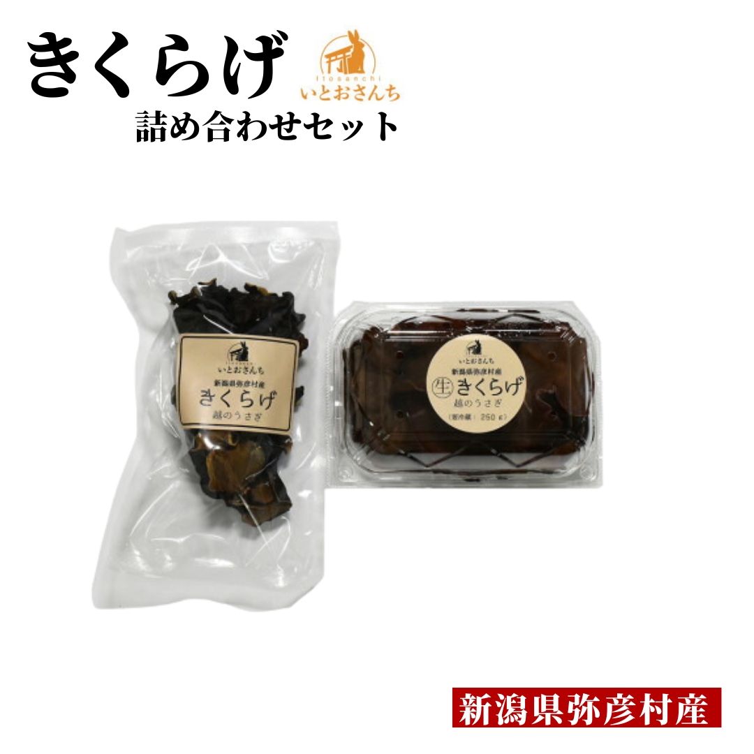 新潟県弥彦村産 越のうさぎ 生きくらげ250g、乾燥きくらげ25g 詰め合わせセット