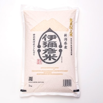 【伊彌彦米とパックごはんセット】精米5kg×1袋　パックごはん2パック【1107191】