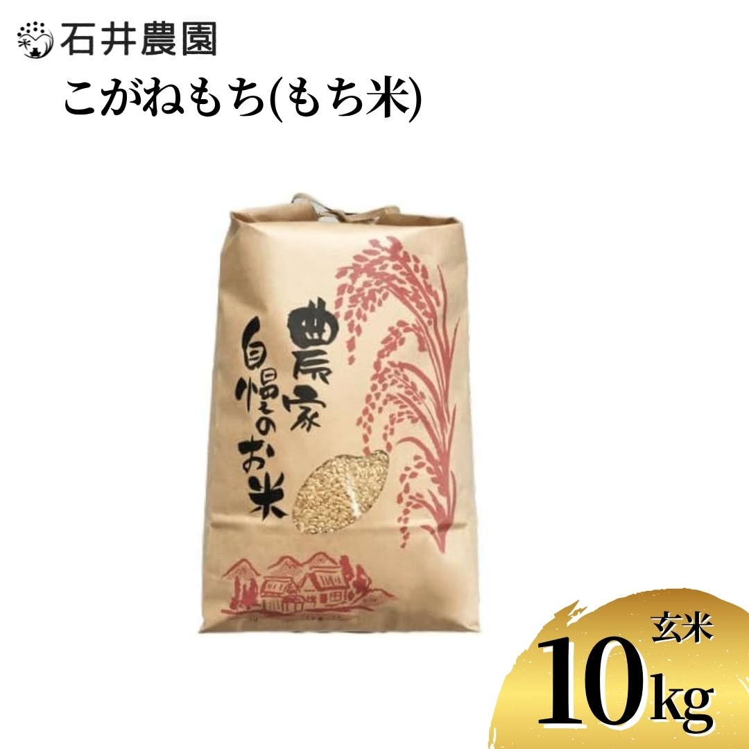 新潟県弥彦村石井農園 令和7年産 こがねもち＜玄米 10kg＞玄米もち、玄米おはぎ、玄米おこわ等に