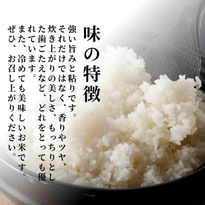 【お試し】令和7年産 特別栽培米コシヒカリ「伊彌彦米」精米 3kg 新潟県産弥彦村【1704703】