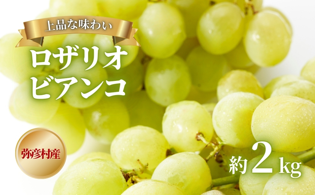 《先行予約》 ぶどう 弥彦村農家のこだわりの逸品 ロザリオビアンコ  約2kg ぶどう 家のこだわりの逸品 2キロ 葡萄 ブドウ  果物 フルーツ 甘い  上品な甘み 贈答用 ご褒美 家庭用 ギフト 贈り物 プレゼント お取り寄せ 新潟県 弥彦村 弥彦アグリセンター