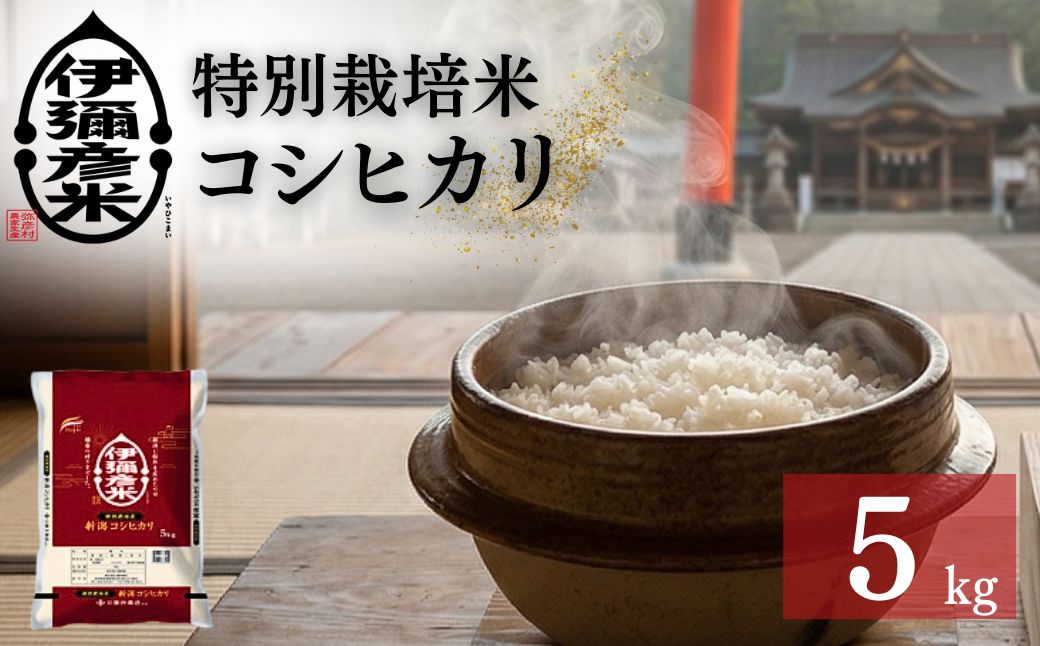 令和7年産特別栽培米コシヒカリ「伊彌彦米」5kg