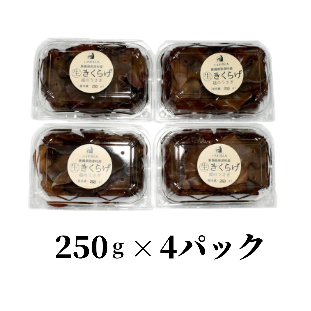 新潟県弥彦村産 越のうさぎ 生きくらげ(250g×4パック)