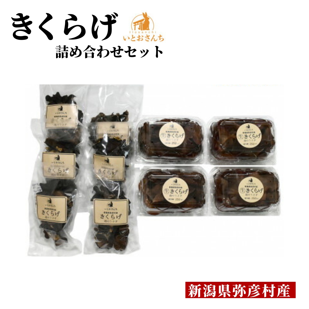 新潟県弥彦村産 越のうさぎ 生きくらげ250g×4、乾燥きくらげ25g×6 詰め合せセット