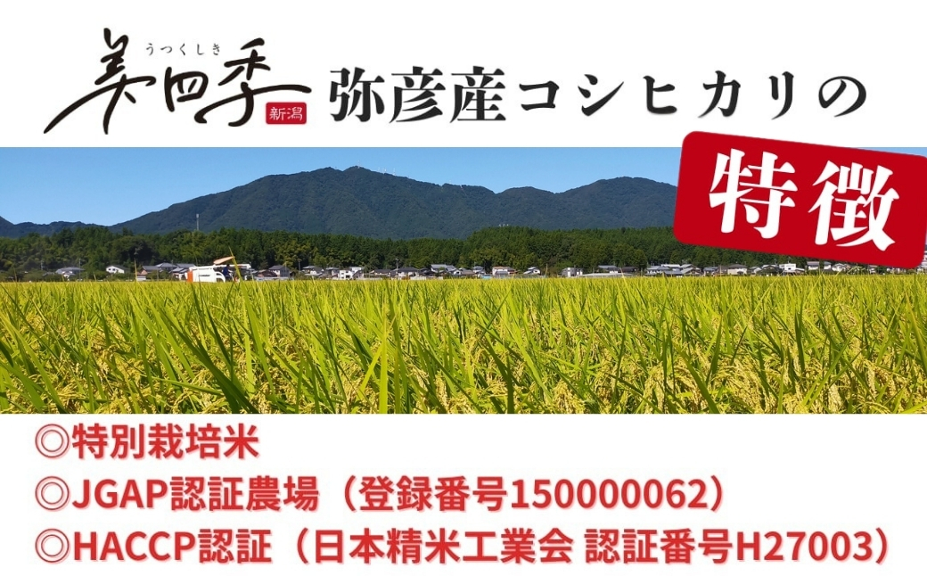 莉、蜥7蟷エ逕」 譁ー貎溽恁蠑・蠖ヲ逕」繧ウ繧キ繝偵き繝ェ 鄒主屁蟄」2kg 逧螳、迪ョ荳顔アウ霎イ螳カ逕溽肇 迚ケ蛻・譬ス蝓ケ邀ウ