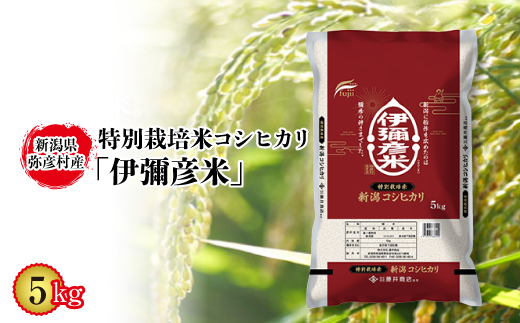 令和5年産特別栽培米コシヒカリ「伊彌彦米」5kg