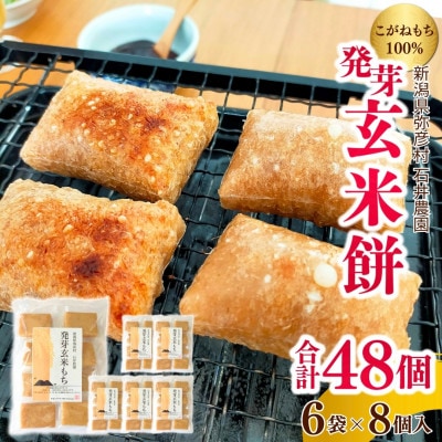 ぷちぷち食感がたまらない「発芽玄米餅」　6袋　新潟県弥彦村産「こがねもち」100%使用【1554475】