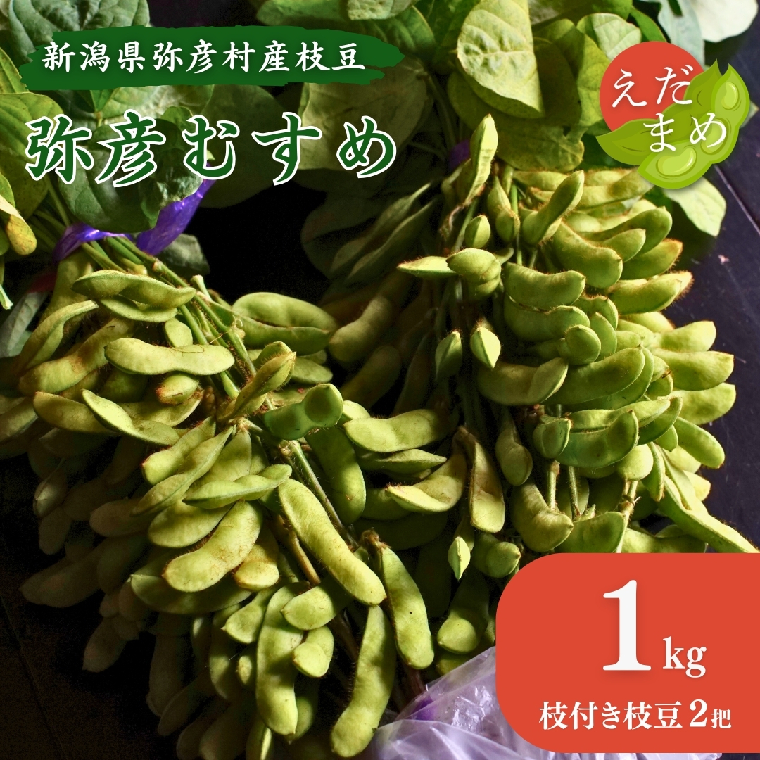 《先行予約》 初夏の香をお届けします。弥彦村産「弥彦むすめ」枝付き枝豆 2把(約1kg)