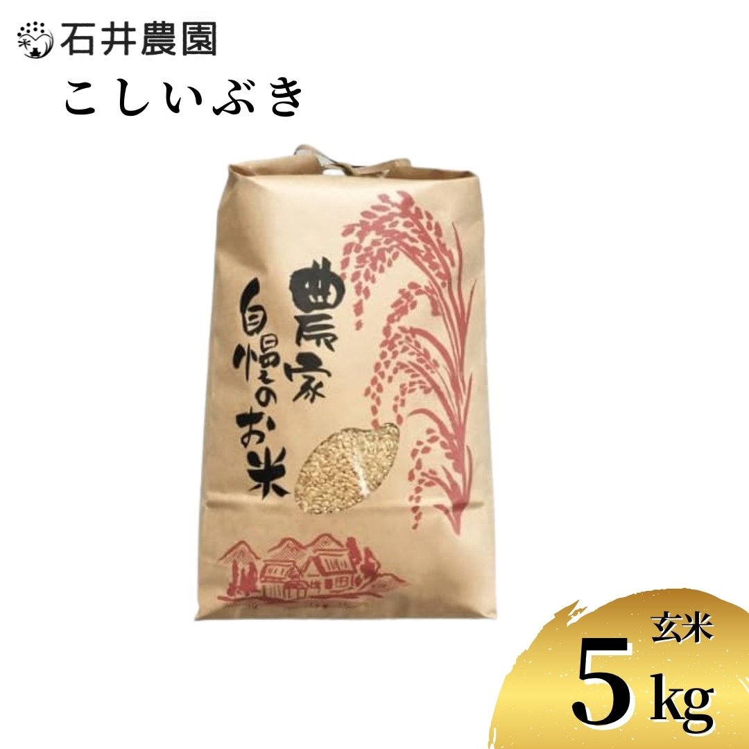 新潟県弥彦村石井農園 令和7年産 こしいぶき＜玄米 5kg＞
