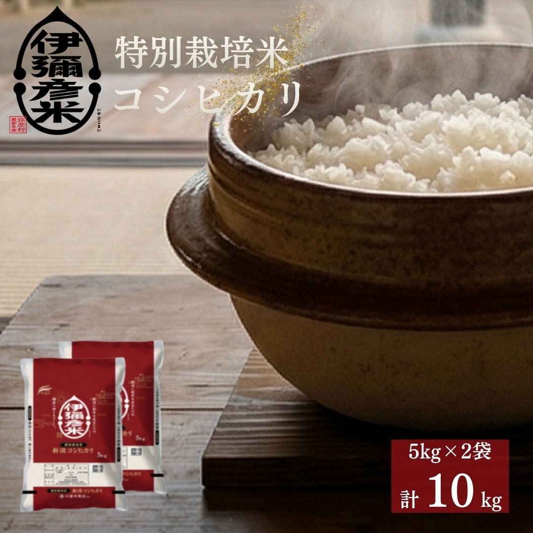 令和7年産特別栽培米コシヒカリ「伊彌彦米」10kg ブランド米