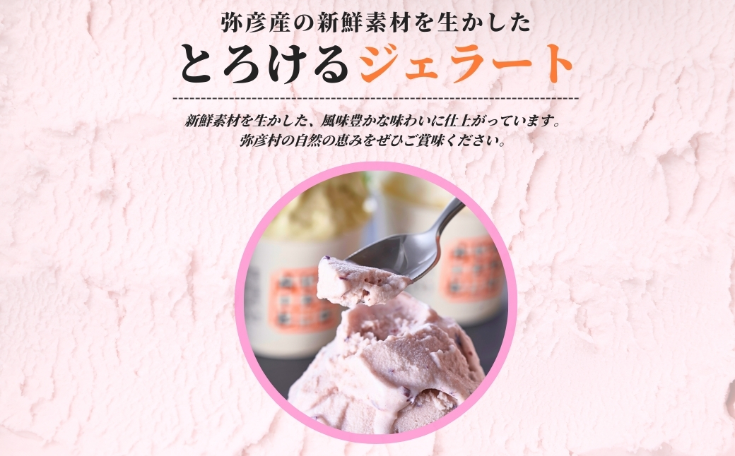 絞りたて牛乳で製造した『やひこジェラート』酒粕 いちご 巨峰 枝豆