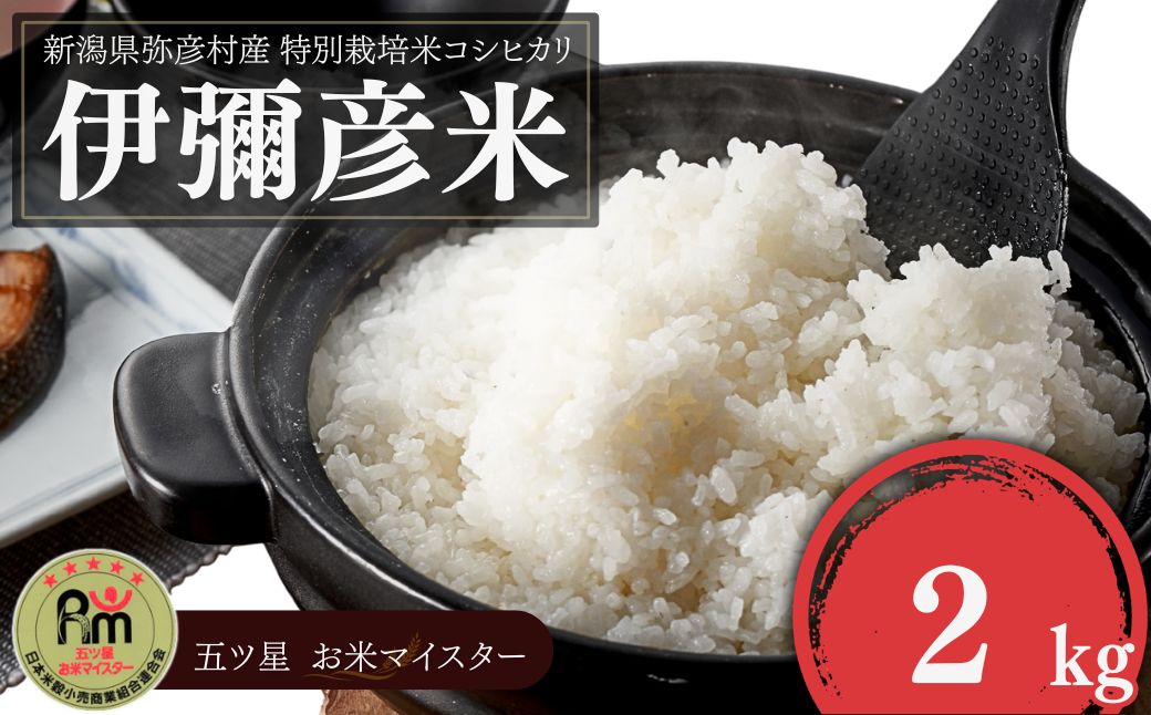 縲舌♀隧ヲ縺励台サ、蜥7蟷エ逕」 迚ケ蛻・譬ス蝓ケ邀ウ繧ウ繧キ繝偵き繝ェ縲御シ雁ス悟スヲ邀ウ縲咲イセ邀ウ 2kg 譁ー貎溽恁逕」蠑・蠖ヲ譚