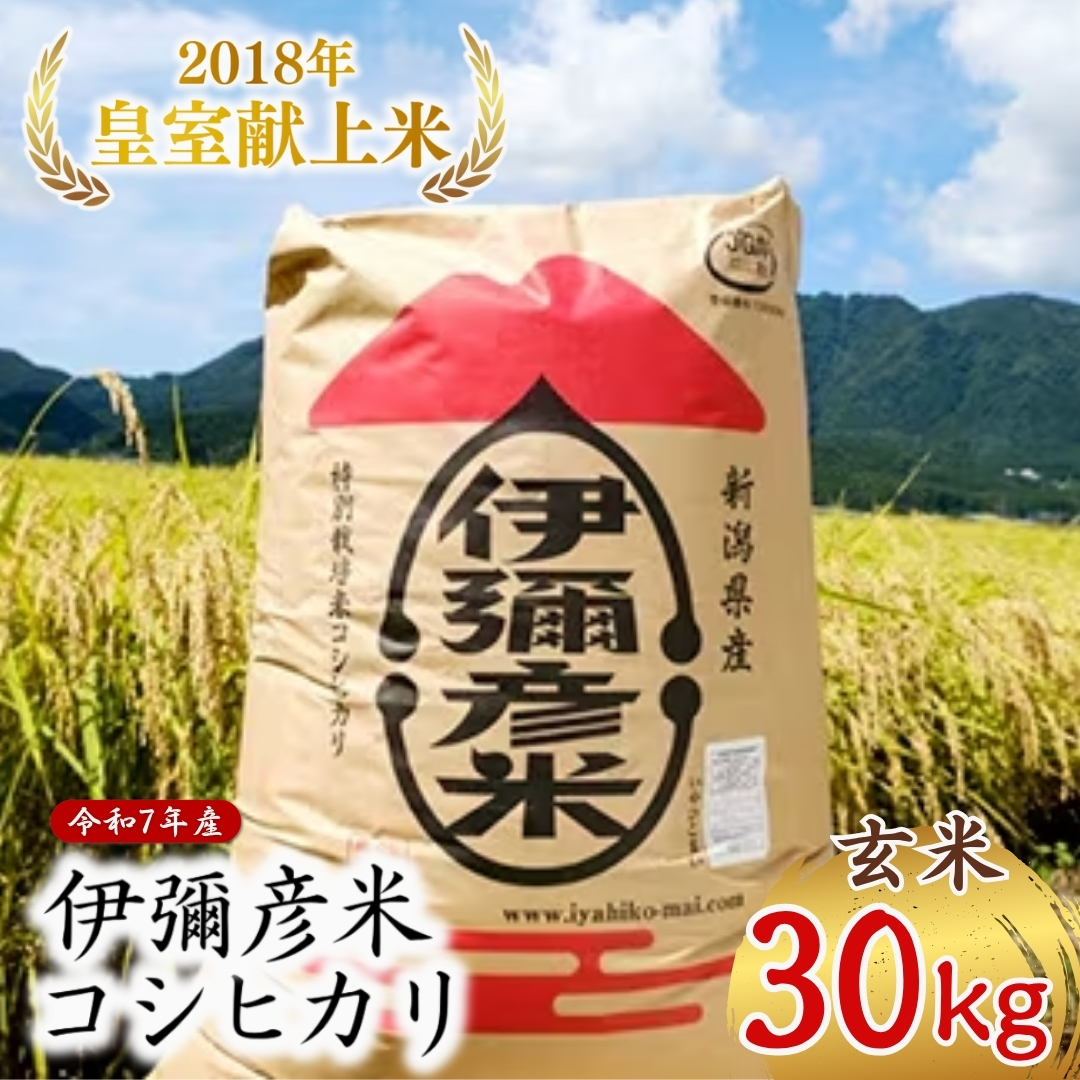 【令和7年産・皇室献上米 伊彌彦米コシヒカリ】玄米30kg (2018年新嘗祭献上)