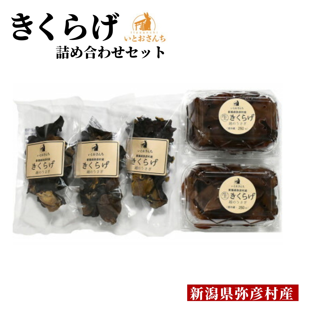 新潟県弥彦村産 越のうさぎ 生きくらげ250g×2、乾燥きくらげ25g×3 詰め合せセット