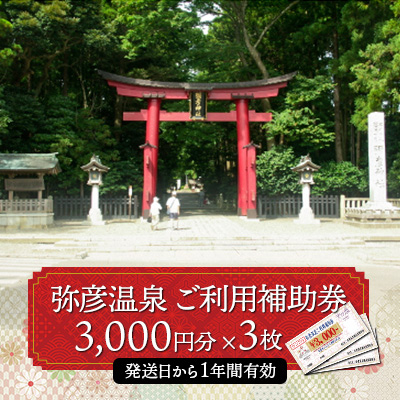 弥彦温泉ご利用補助券　3,000円分【3枚】【1296026】