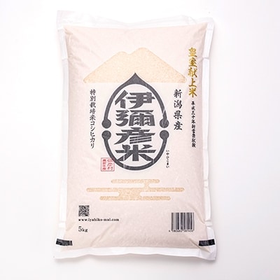 【伊彌彦米とパックごはんセット】精米5kg×2袋　パックごはん4パック【1107192】