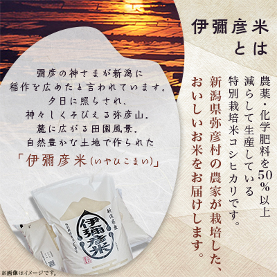 令和5年産 新潟県産 特別栽培米 コシヒカリ 「伊彌彦米」 10kg【1006486】
