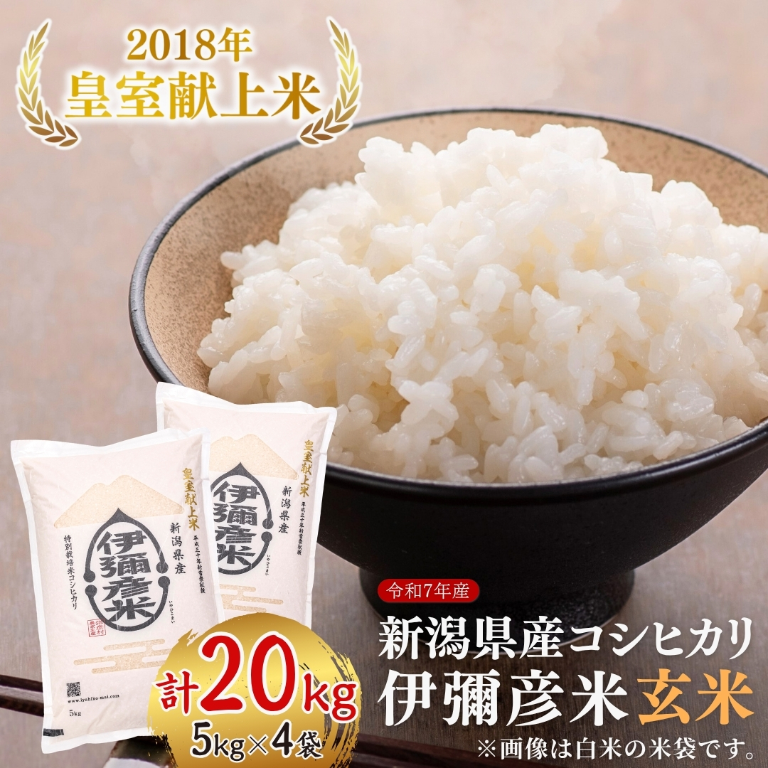 令和7年産 皇室献上米「伊彌彦米」玄米20kg(5kg×4袋) 新潟県産コシヒカリ