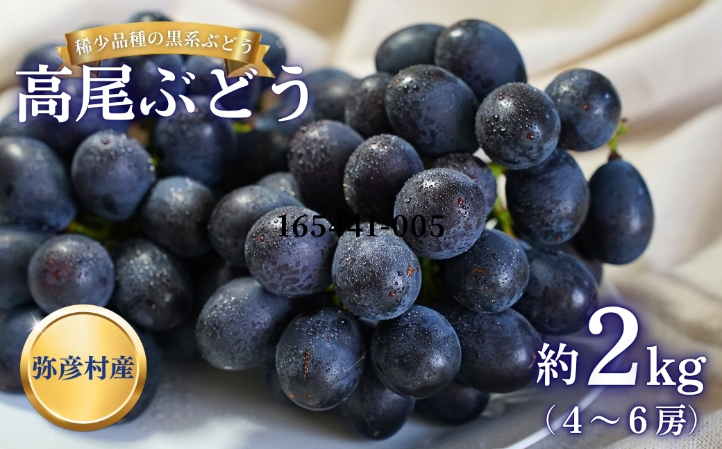《先行予約》 稀少!数量限定「高尾」黒系ぶどう 約2kg 種が無い 皮ごと食べられる 肉厚産