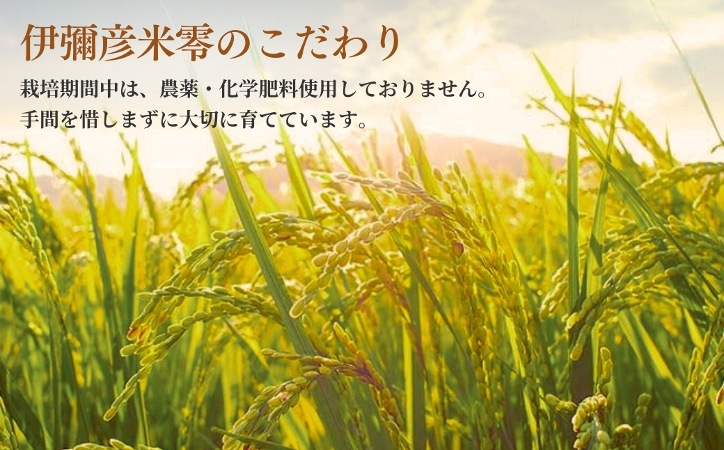 ãäŒåœåœŠç±³é¶çç±³ããã¯ãã¯ããç宀ç®äžç±³ 150gå
¥ãÃ12ããã¯