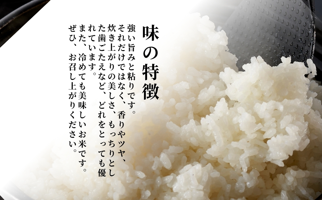 令和7年産 特別栽培米コシヒカリ「伊彌彦米」5kg(5kg×1袋) 精米) | 新潟産コシヒカリ 新潟県産コシヒカリ 新潟県産こしひかり お米 白米 精米 こしひかり 5キロ 送料無料 ギフト 贈答 贈り物 弥彦村 いやひこまい