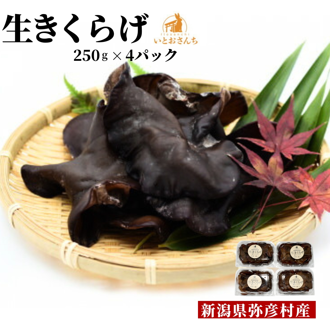 新潟県弥彦村産 越のうさぎ 生きくらげ(250g×4パック)