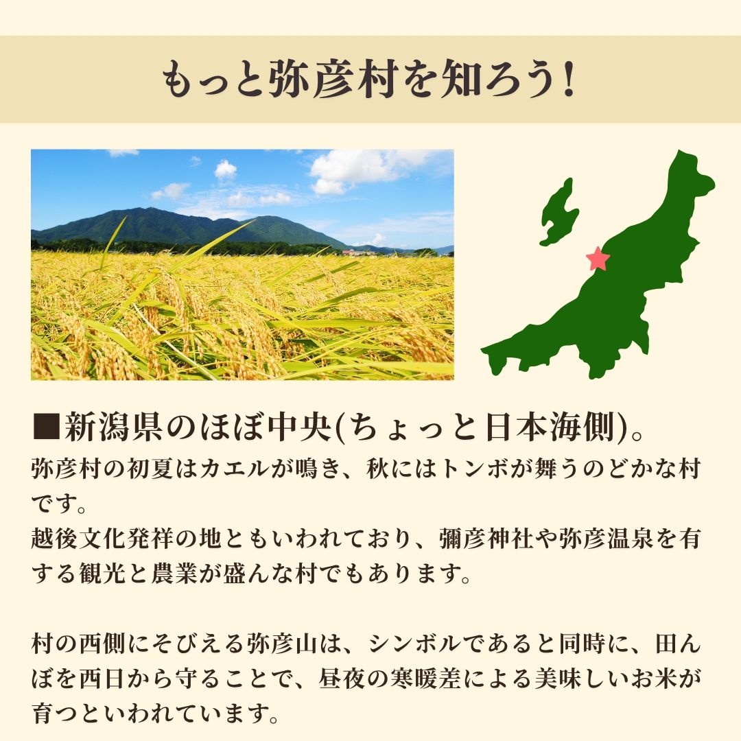 新潟県弥彦村石井農園 令和7年産 こしいぶき＜玄米 5kg＞