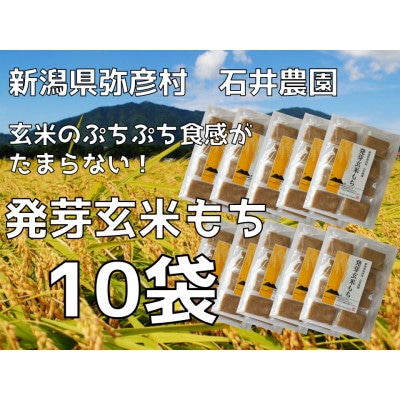 ぷちぷち食感がたまらない「発芽玄米餅」　10袋　新潟県弥彦村産「こがねもち」100%使用【1554478】