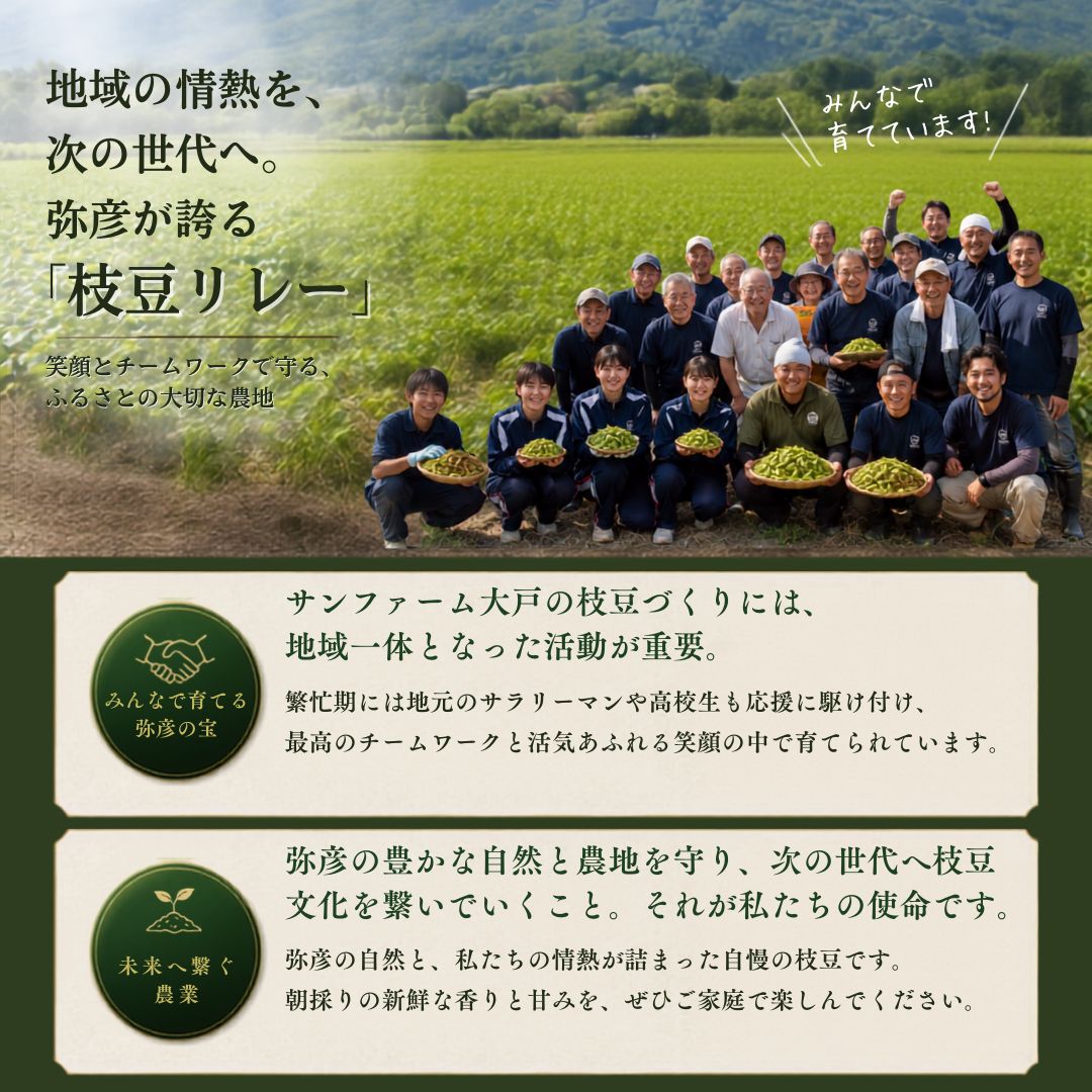 【先行予約】 朝どり新鮮 新潟 枝豆 えだまめ 茶豆 1kg | 特産品 野菜 おつまみ 晩酌 濃厚な甘さ お取り寄せ おすすめ プレゼント ギフト 贈答 贈り物 1キロ 新潟県 弥彦村 農事組合法人 サンファーム大戸