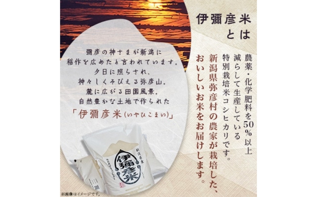 伊彌彦米と伊彌彦醤油セット (白米2kg×2袋・醤油500ml×1本) | コシヒカリ こしひかり ブランド米 新潟県 弥彦村 本醸造 丸大豆醤油 国産大豆使用 新潟県 弥彦村