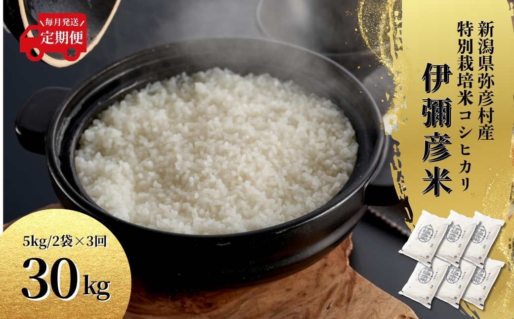 【毎月定期便】特別栽培米コシヒカリ「伊彌彦米」(精米)10kg(5kg×2袋) 全3回