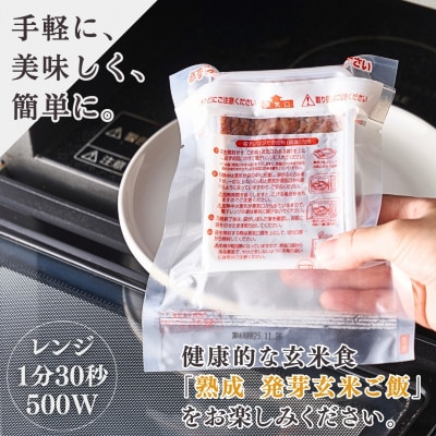 熟成3日 発芽玄米ご飯 パックご飯 12個(3パック×4セット)  コシヒカリで作った酵素玄米【1497863】