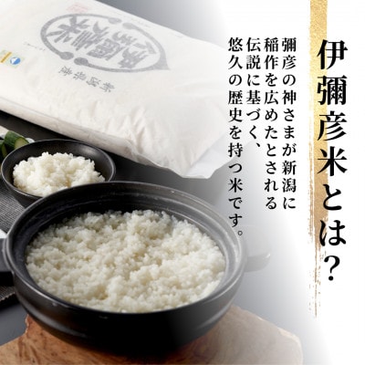 【お試し】令和7年産 特別栽培米コシヒカリ「伊彌彦米」精米 3kg 新潟県産弥彦村【1704703】