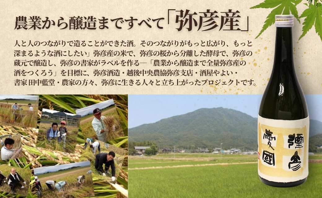 「ヨシカワ 郷技ぐいのみ 100ml」1個× 弥彦酒造「彌彦愛国 純米吟醸 720ml」1本セット