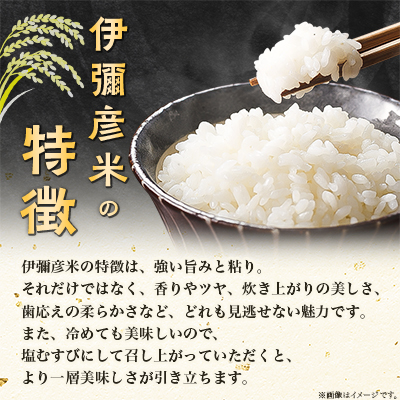 新米　特別栽培米　新潟こしひかり　10kg(5kg×2袋)