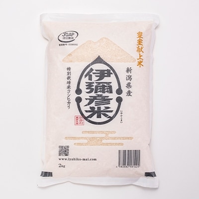 【伊彌彦米とパックごはんセット】精米2kg×2袋　パックごはん4パック【1107193】