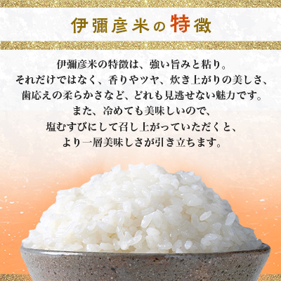 令和6年産特別栽培米コシヒカリ「伊彌彦米」10kg【1125998】