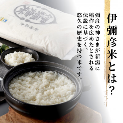 令和7年産 栽培期間中農薬不使用コシヒカリ「伊彌彦米 零(ぜろ)」新潟県産 精米 5kg【1351275】