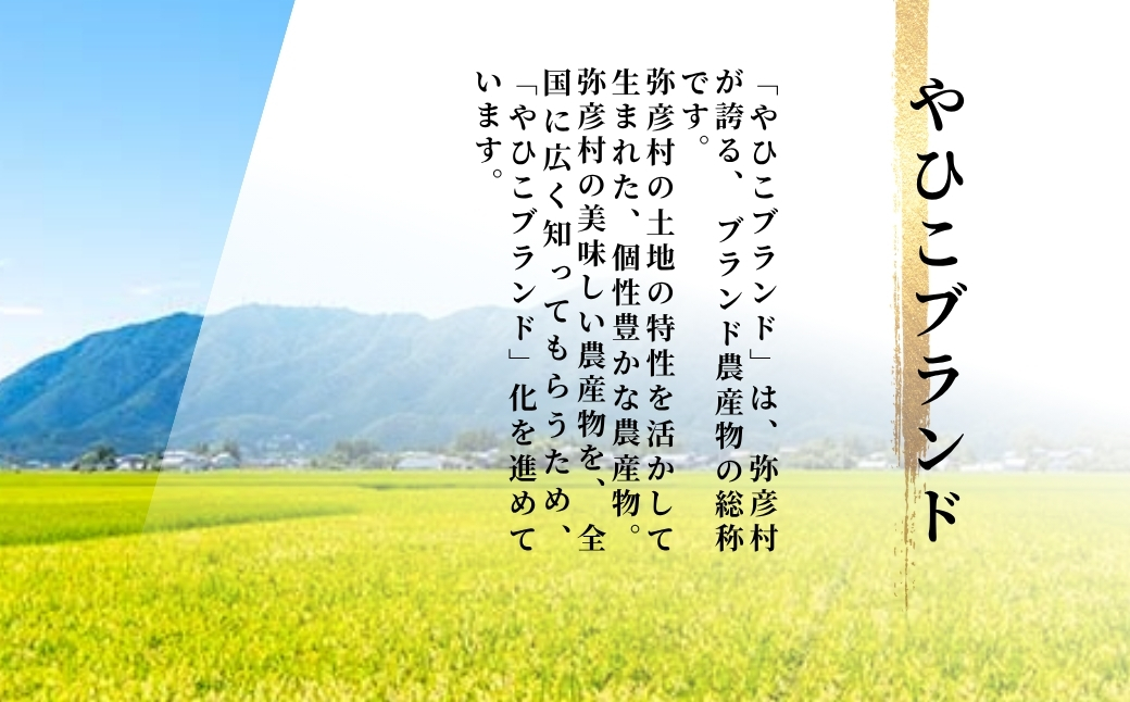 令和7年産 特別栽培米コシヒカリ「伊彌彦米」5kg(5kg×1袋) 精米) | 新潟産コシヒカリ 新潟県産コシヒカリ 新潟県産こしひかり お米 白米 精米 こしひかり 5キロ 送料無料 ギフト 贈答 贈り物 弥彦村 いやひこまい