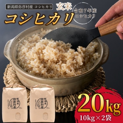 新潟県弥彦村石井農園　令和7年産 コシヒカリ【玄米 20kg】【1538645】