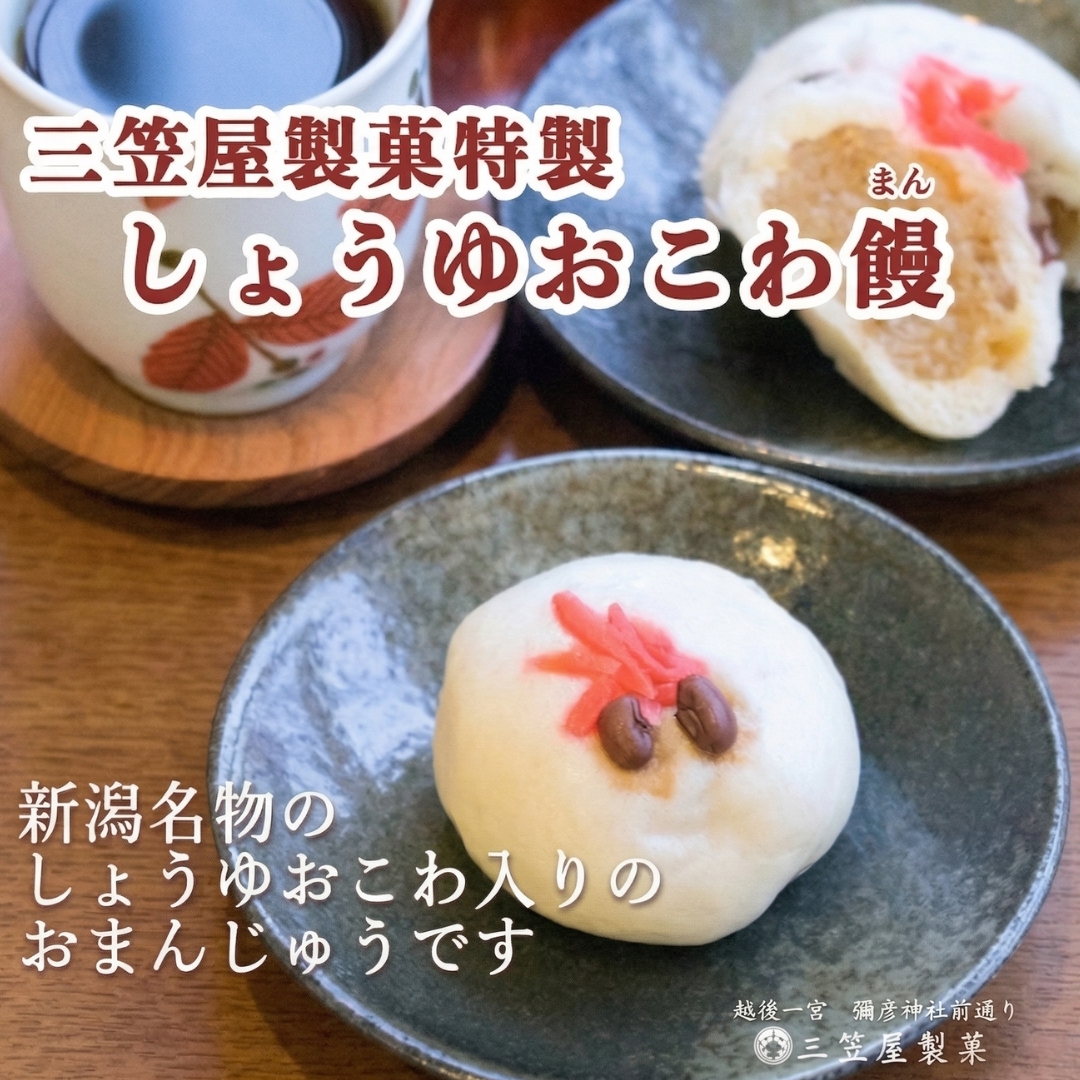 きんぴらだんごとしょうゆおこわ饅と笹おこわの詰合せ