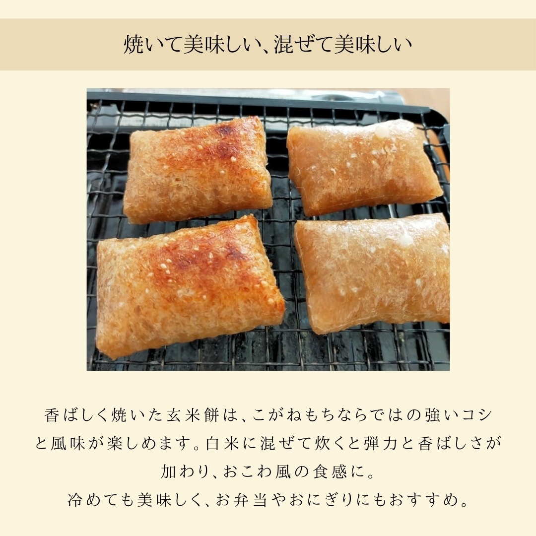 新潟県弥彦村石井農園 令和7年産 こがねもち＜玄米 5kg＞玄米もち、玄米おはぎ、玄米おこわ等に