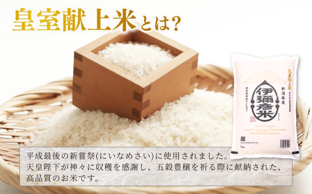 【伊彌彦米とパックごはんセット】精米5kg×1袋 パックごはん2パック