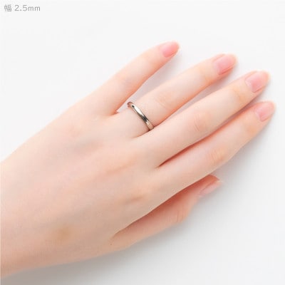 純チタン甲丸リング(幅2.5mm)13号【1642905】