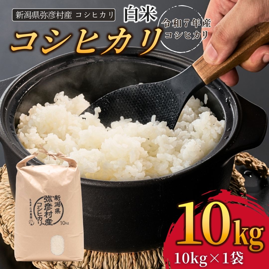 新潟県弥彦村石井農園 令和7年産コシヒカリ【白米 10kg】
