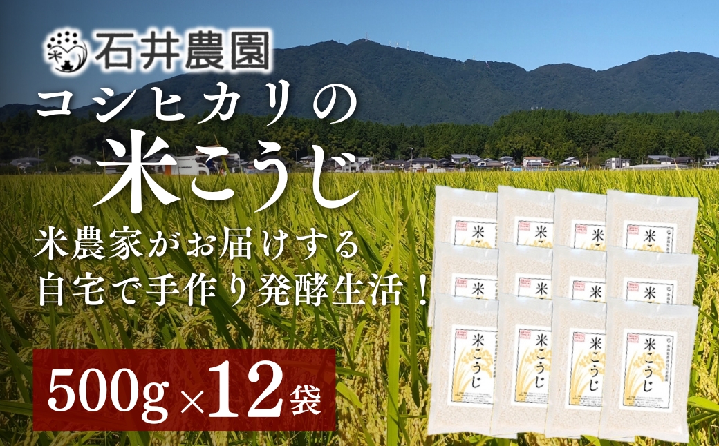 【乾燥米こうじ 500g×12袋】新潟県弥彦村 石井農園 新潟県認証特別栽培米 コシヒカリ使用