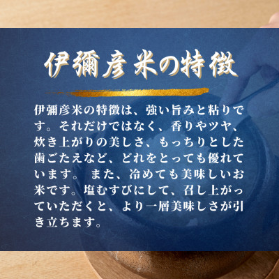 【彌彦神社奉納祭献上】「伊彌彦米」令和6年産特別栽培米弥彦コシヒカリ 新潟県 弥彦村【1010792】